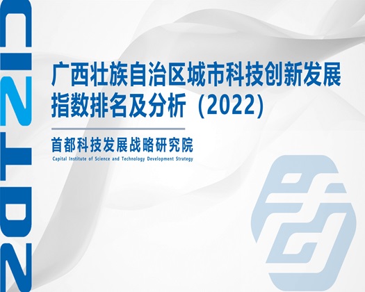 欧美亚女人操逼视频【成果发布】广西壮族自治区城市科技创新发展指数排名及分析（2022）